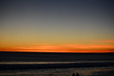 DSC_1312 (Large).JPG